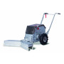 RACLEUSE ETABLE LIMPAR SP 94