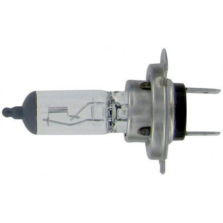 AMPOULE H7 12V 55W
