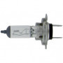 AMPOULE H7 24V 70W