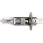 AMPOULE H1 24V 70W