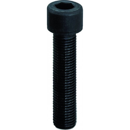 Vis cylindrique hex creux 5x10 12.9 brut din912 (bte de 50)