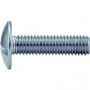 Vis poelier 8x80 inox a2 nfe27128 (boite de 25)