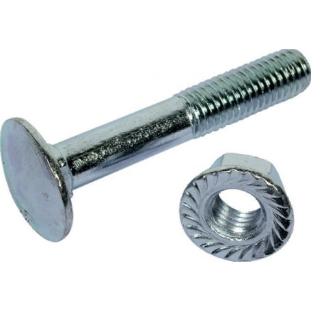 Boulon tete ronde cc bas 10x25 cl8.8 zingue (boite de 100)