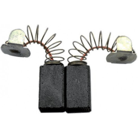 JEU DE CHARBONS RYOBI 6540043