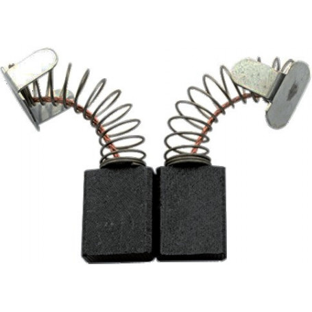 JEU DE CHARBONS RYOBI 6540053