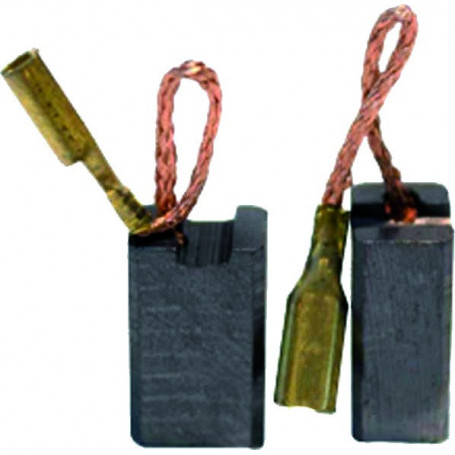 JEU DE CHARBONS RYOBI 6540563