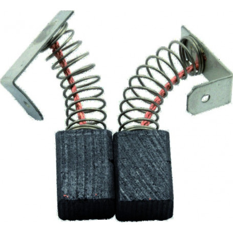 JEU DE CHARBONS RYOBI 6540743