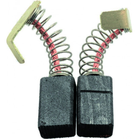 JEU DE CHARBONS RYOBI 6540993