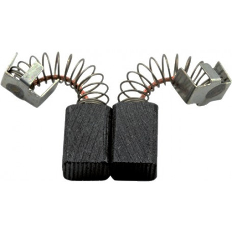 JEU DE CHARBONS RYOBI (6540023)