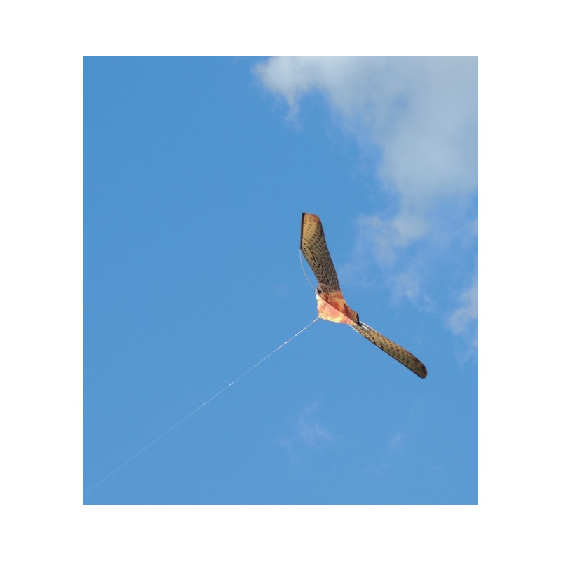 Manche à Air Effaroucheur Oiseaux - NOWAYTOSTART | Faucon Géant 140x70 Cm Pour Jardin Et Culture