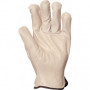 GANTS MAÎTRISE TOUT FLEUR DE VACHETTE T10