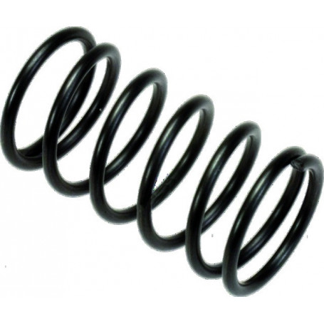 RESSORT CLAPET 11X9.5 LG16 18020015 OR.COMET