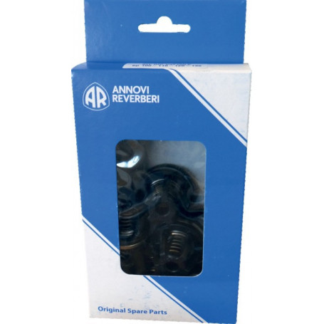KIT DE 8 CLAPETS JOINTS 1409050 AR1064 ANNOVI