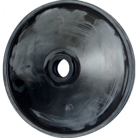 MEMBRANE DESMOPAN AR813/1064 ANNOVI