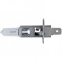 LAMPES H1 12V 100W (PAR 2)