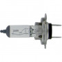 AMPOULE H7 12V 55W HELLA