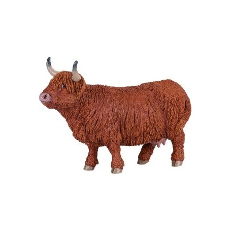VACHE HIGHLAND