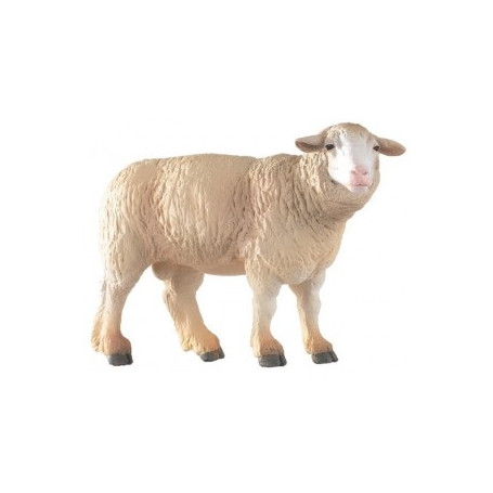 MOUTON MERINOS
