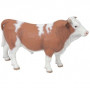 TAUREAU SIMMENTAL