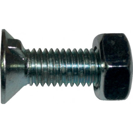 BOULONS TF 1 ERG.POUR NAUD 10x30 (PAR 10)