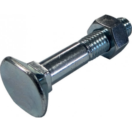 BOULONS TÊTE RECT. 12.9 12x60 (PAR  10)