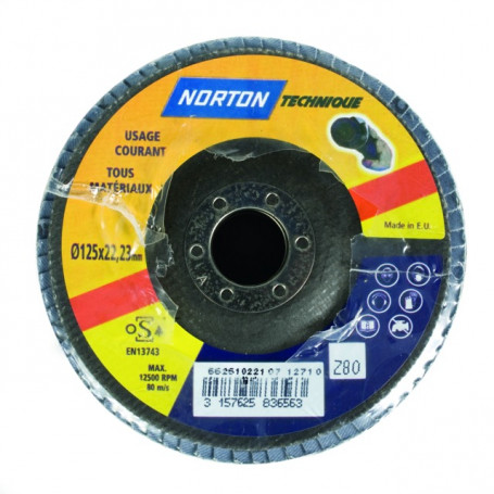 DISQUE À LAMELLES BOMBÉ 125 MM GRAIN 80 BLUE PRO