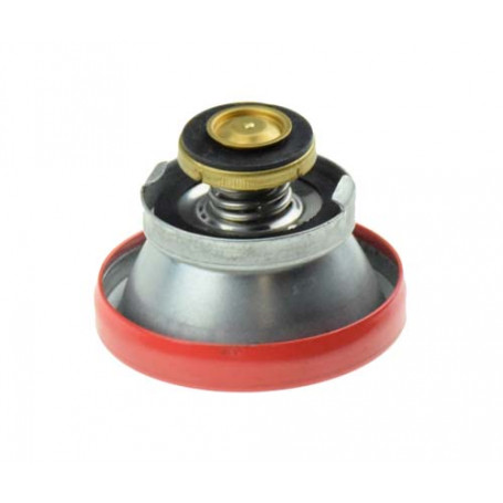 Bouchon de radiateur MASSEY FERGUSON