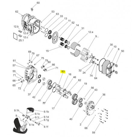 Clavette pour lobe élastomère GT 12 dents - 14x9x79 - Série PL200