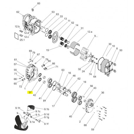 Joint à double lèvre, ressort INOX 55x80x10 - NBR - Série PL/HPL