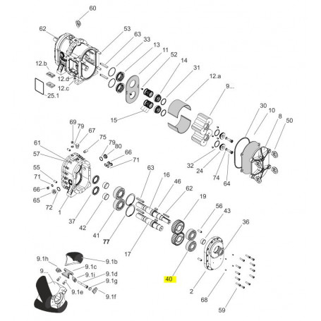 Roulement à rouleaux - ACIER 1.3505 - Série PL/HPL