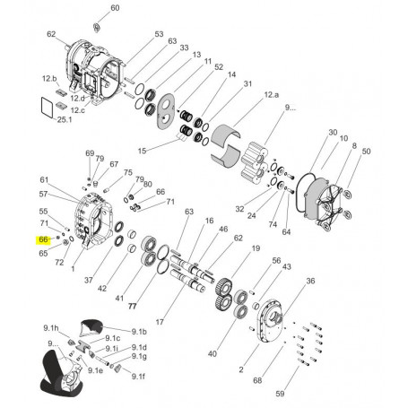 Vis de vidange G1/2" - ACIER - Série PL/HPL/CL/FL/EL/HFL
