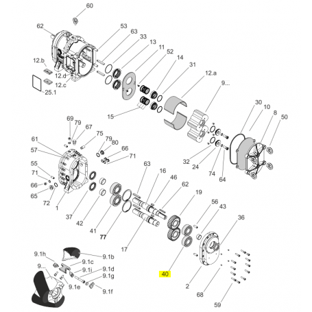 Roulement à rouleaux Atex - ACIER 1.3505 - Série CL/HCL