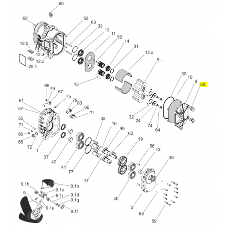 Ecrou à oreilles M20 - ACIER - Série CL/FL/HCL/HFL