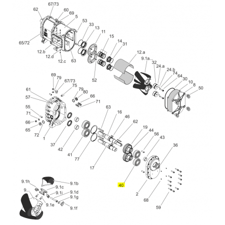 Roulement à rouleaux ATEX - ACIER 1.3505 - Série FL/HFL