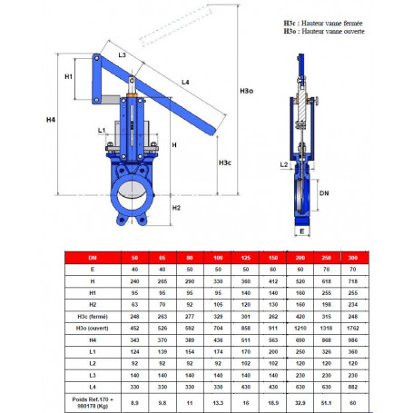 Vanne Guillotine Levier Dn Mnm