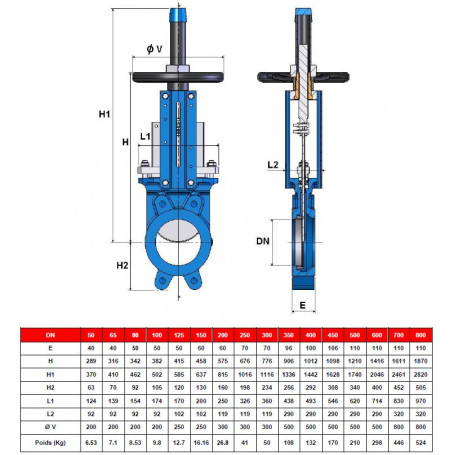 Vanne guillotine 170 - DN 200mm - FTE/NBR - fin de course