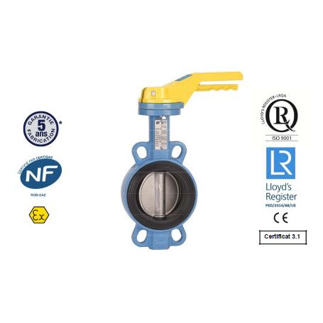 Vanne papillon à oreilles de centrage - DN 50mm - GAZ - FT/I/NBR