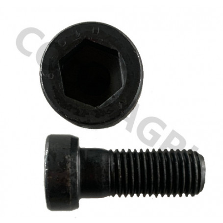 Vis six pans creux M20x50 - ACIER - Série FL/HFL/EL