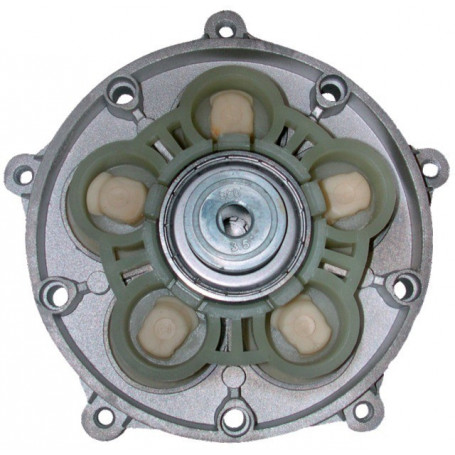 Kit membrane pompe EVERFLO EF4000