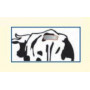 Patch vert détection de chaleurs Estrotect (boite de 10) pour bovins