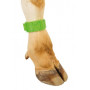 Bracelet d'identification en plastique vert pour bovin (l'unité)