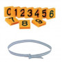 Sangle nylon pour collier d'identification bovin