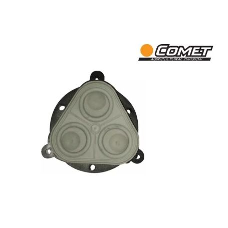 Kit membrane pour pompe EVERFLO EF2200 COMET
