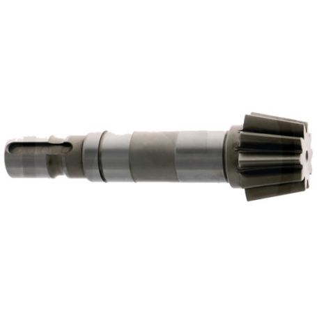 ARBRE A PIGNON POTTINGER