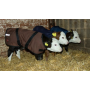 MANTEAU DE PROTECTION STANDARD LONGUEUR DOS 80CM POUR VEAU