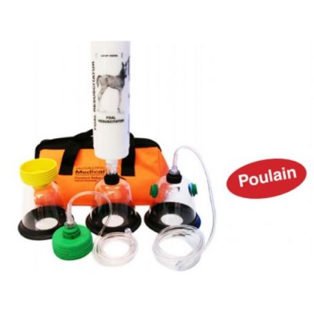 KIT REANIMATEUR / ASPIRATEUR MC CULLOCH POUR POULAIN