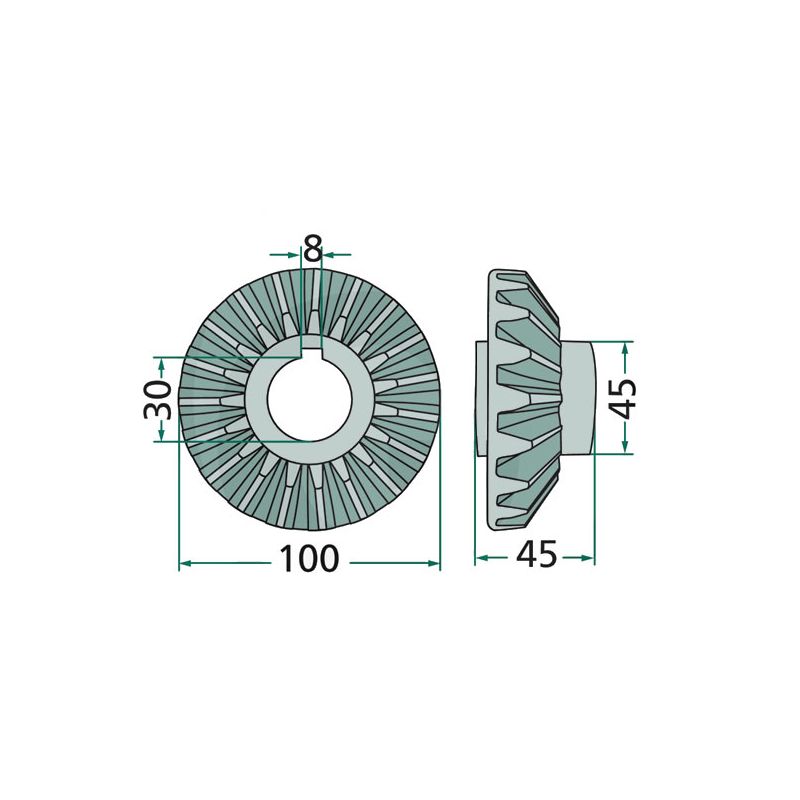 Pignon Vélo Campagnolo 19 Dents, Modèle 19-C, Couleur Argenté, En Aluminium, Neuf Sans Emballage