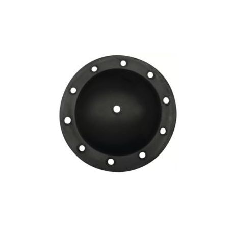 DISQUE ANTI-HUILE EUROP 10 TROUS - PULVERISATEUR BERTHOUD