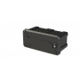 Coffre à outils PVC 550X250X295