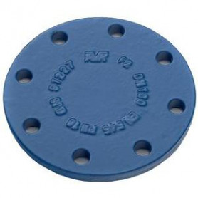 PLAQUE PLEINE DN80 PN10/16